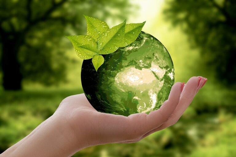 nature, earth, sustainability-pure&Green